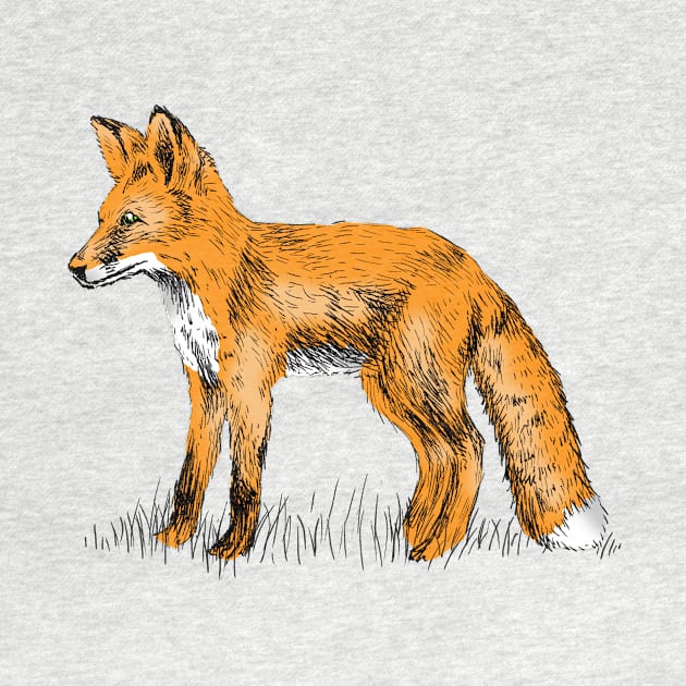 Fox Print by rachelsfinelines